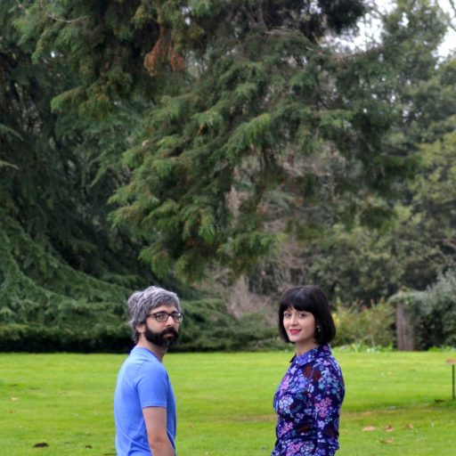 Imagen: LOS BONSAIS FOTO 2