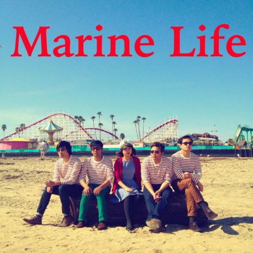 Imagen: MARINE FOTO 2