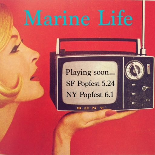 Imagen: MARINE LIFE 3