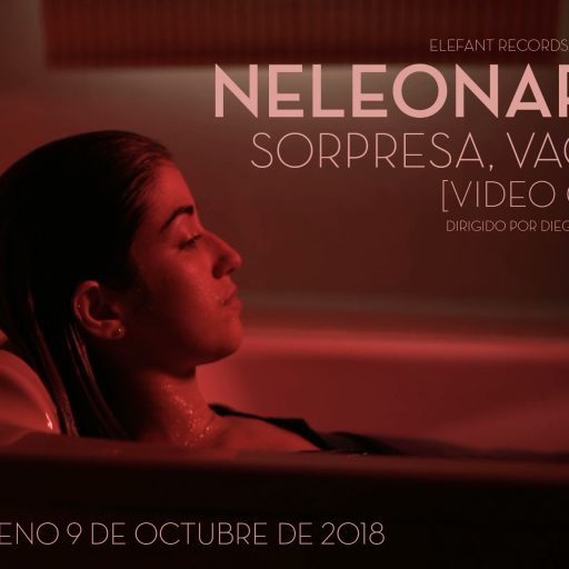 Imagen: NELEONARD FLYER VIDEO SORPRESA