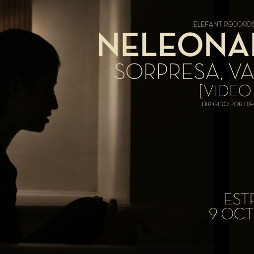 Imagen: NELEONARD FLYER VIDEO SORPRESA