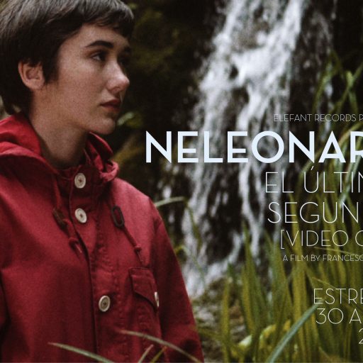 Imagen: NELEONARD FLYER VIDEO