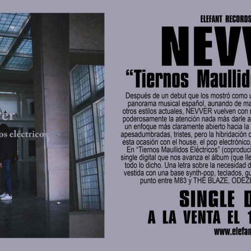 Imagen: NEVVER FLYER TIERNOS SINGLE