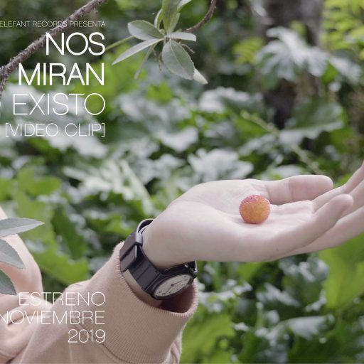 Imagen: NOS MIRAN flYer video