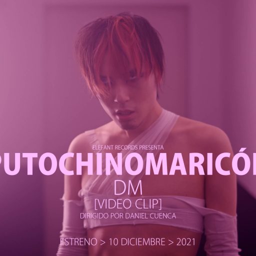 Imagen: PCM FLYER VIDE DM