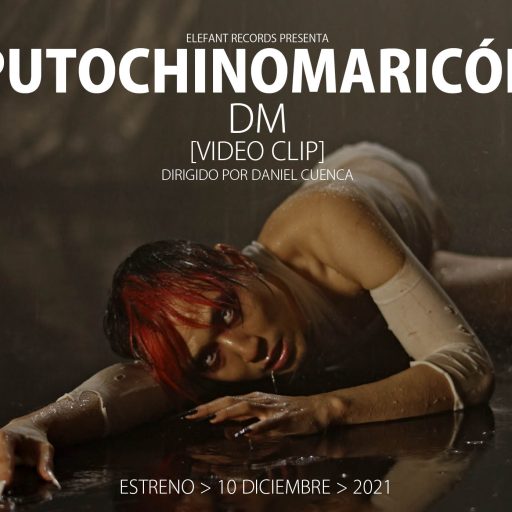 Imagen: PCM FLYER VIDE DM