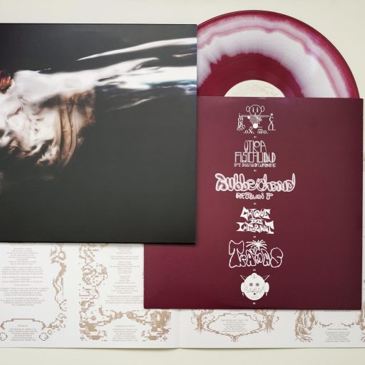 Imagen: PCM FOTO VINILO JAJA