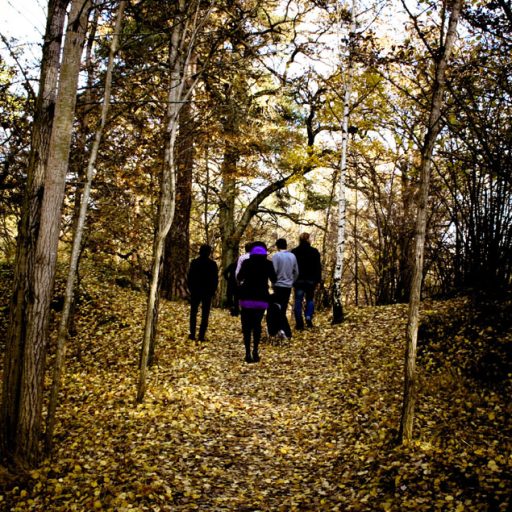 Imagen: Speedmarket Avenue