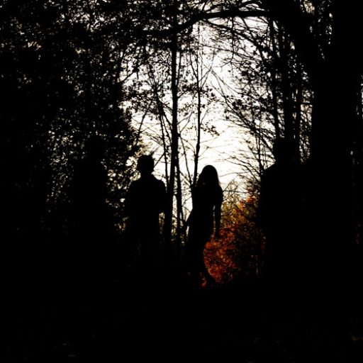 Imagen: Speedmarket Avenue