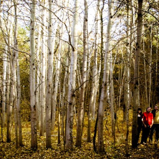 Imagen: Speedmarket Avenue