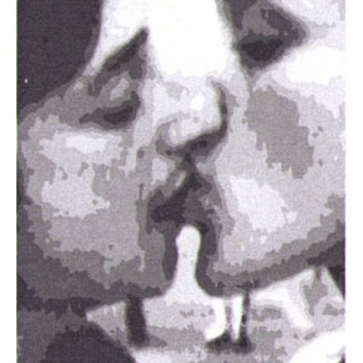 Imagen: Speedmarket Avenue [Flyer John Doe Festival]