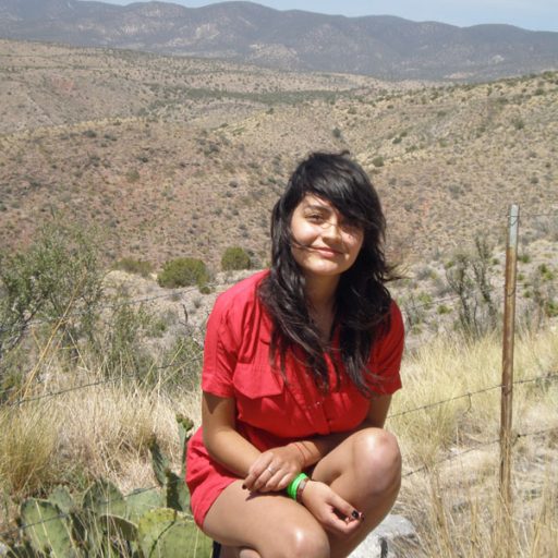 Imagen: The Carrots [Gira Primavera 2008, Desierto de Nuevo Mexico]