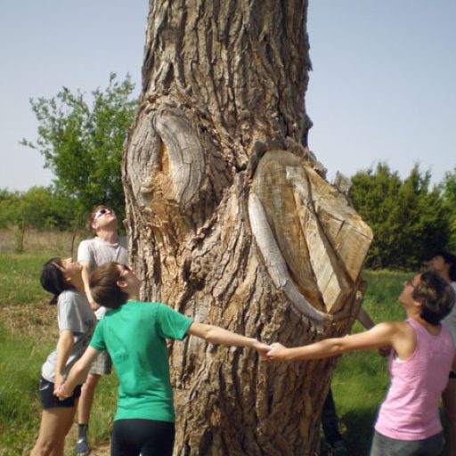 Imagen: The Carrots [Gira Primavera 2008, Texas]