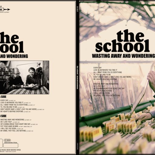 Imagen: THE SCHOOL CONTRA Wasting Away And Wondering