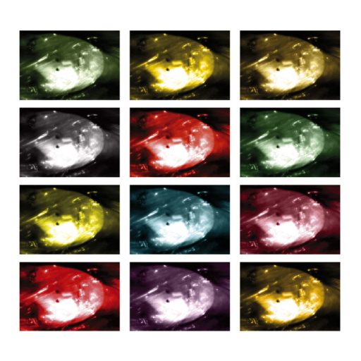 Imagen: Trembling Blue Stars [Portada, Exploring the shadows]