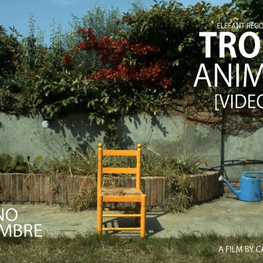 Imagen: TRONCO FLYER VIDEO ANIMALES