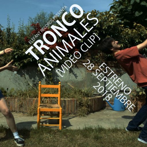 Imagen: TRONCO FLYER VIDEO ANIMALES