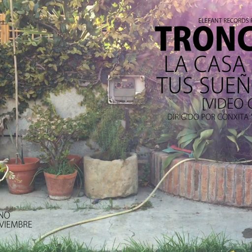 Imagen: TRONCO FLYER VIDEO