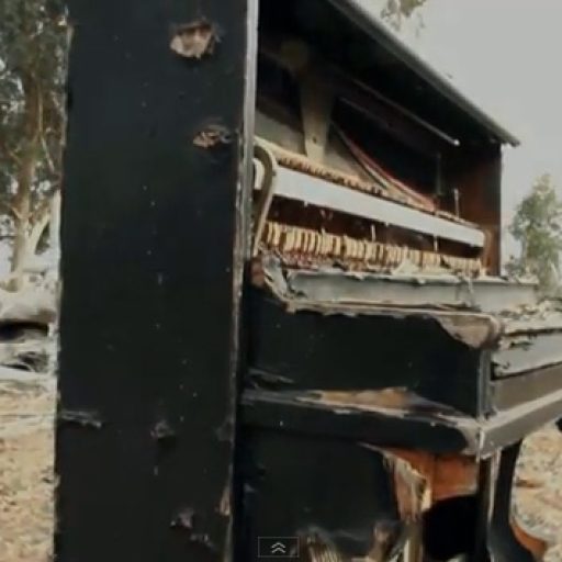 Imagen: Video "Half Light" Trembling Blue Stars